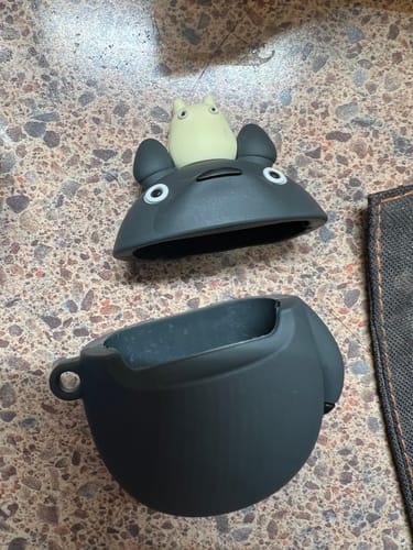 Customer photo review of My Neighbor Totoro AirPod Case