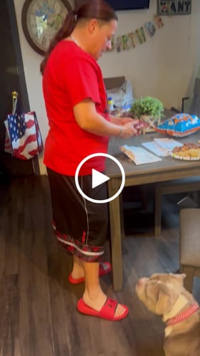Customer video review of Bag of Dicks - Sent Anonymously