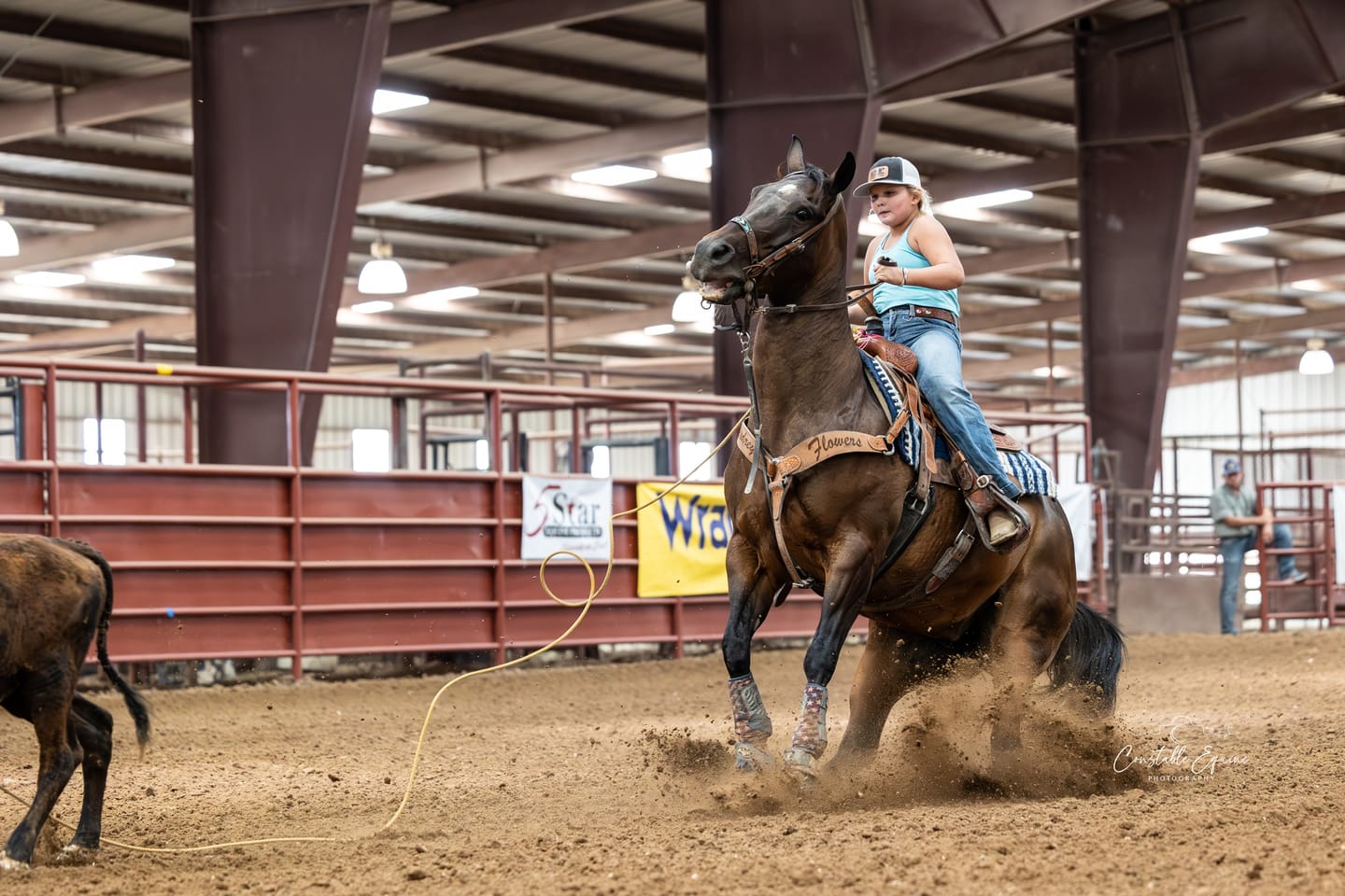 Customer photo review of OptiWize Collagen +Plus Horse Joint Supplement
