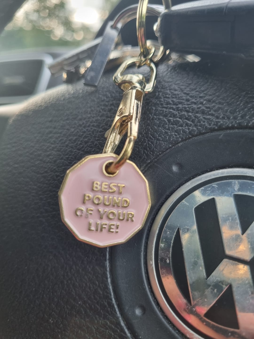 Customer photo review of Freebie Best Pound of Your Life - Trolley Coin