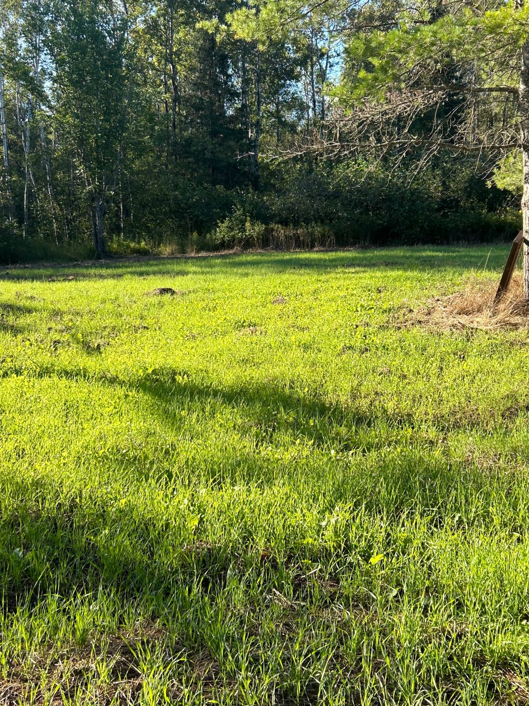Customer photo review of Elbow Grease™ Liquid Lime