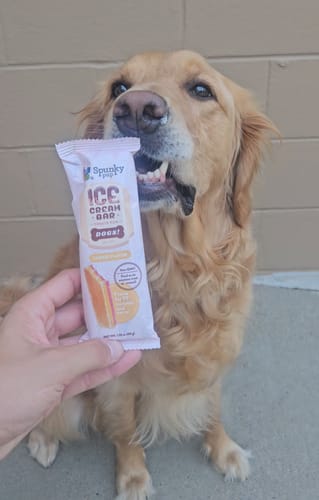 Customer photo review of Ice Cream for Dogs!