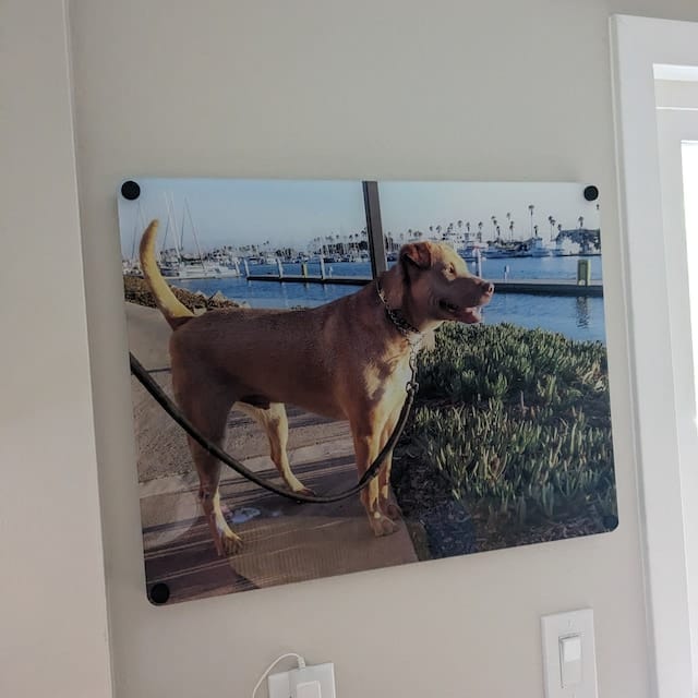 Customer photo review of Acrylic Photo Print for Wall