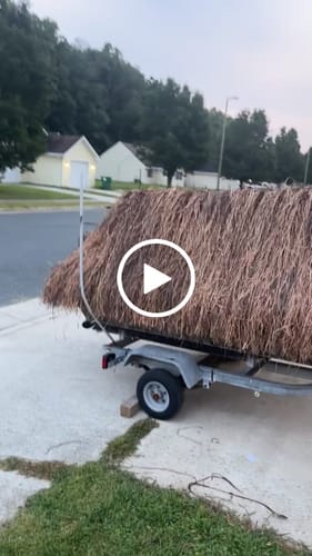 Customer video review of Hunting Blind Raffia Grass (Pack)