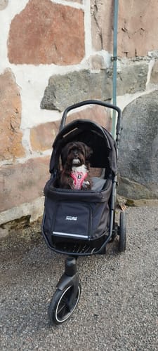 Customer photo review of Premium Cozy Air lemmikkirattaat