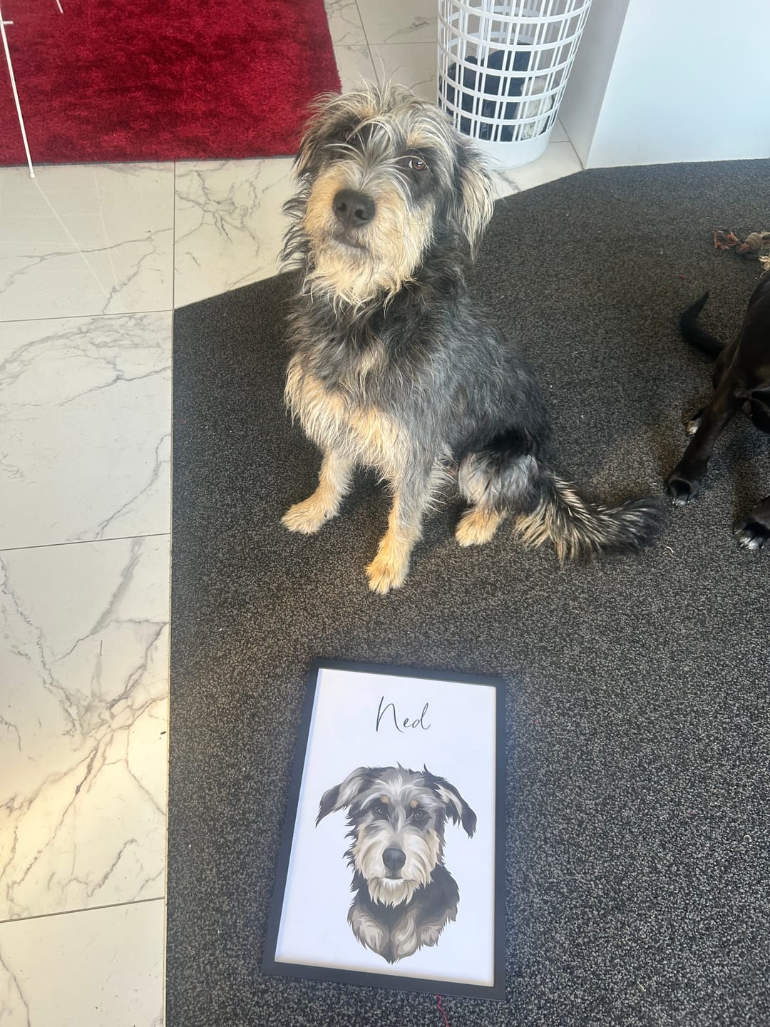 Customer photo review of Memorial Portrait