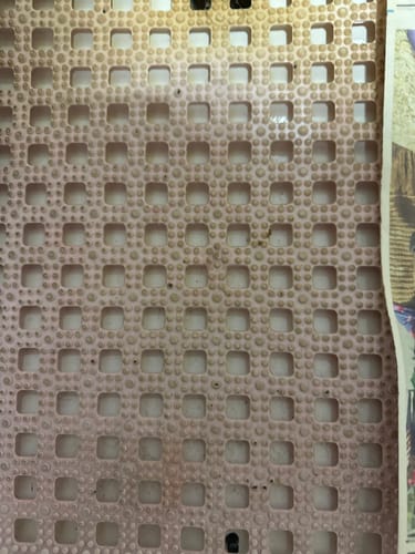 Customer photo review of Weasy Cão