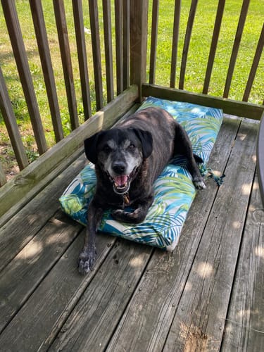 Customer photo review of Activity & Recovery