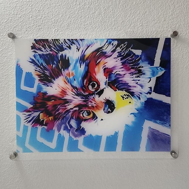 Customer photo review of Acrylic Photo Print for Wall