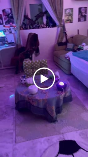 Customer video review of Cyberpunk Companions LED Light Up Painting Frame jqghr