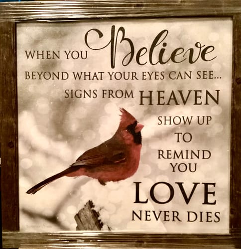 Customer photo review of When You Believe by Summer Snow SS6848