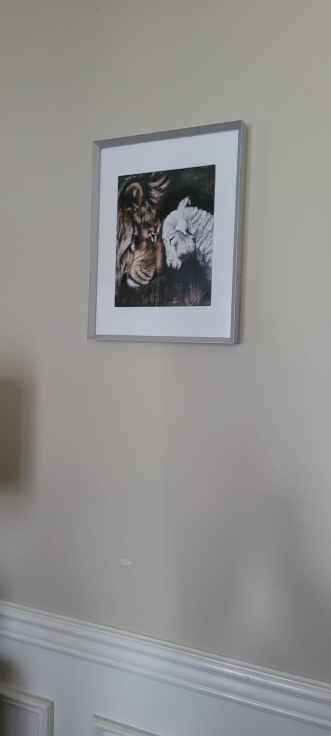 Customer photo review of Compassion of a King
