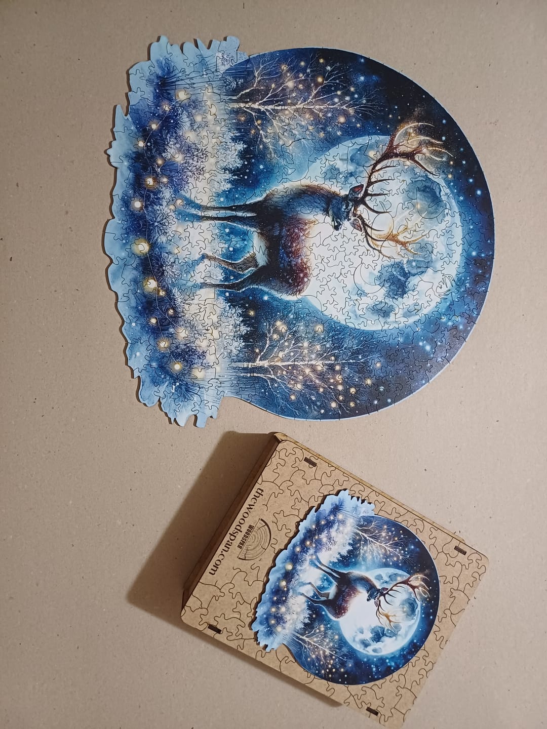 Customer photo review of The Aurora - Gecenin Işıltısı