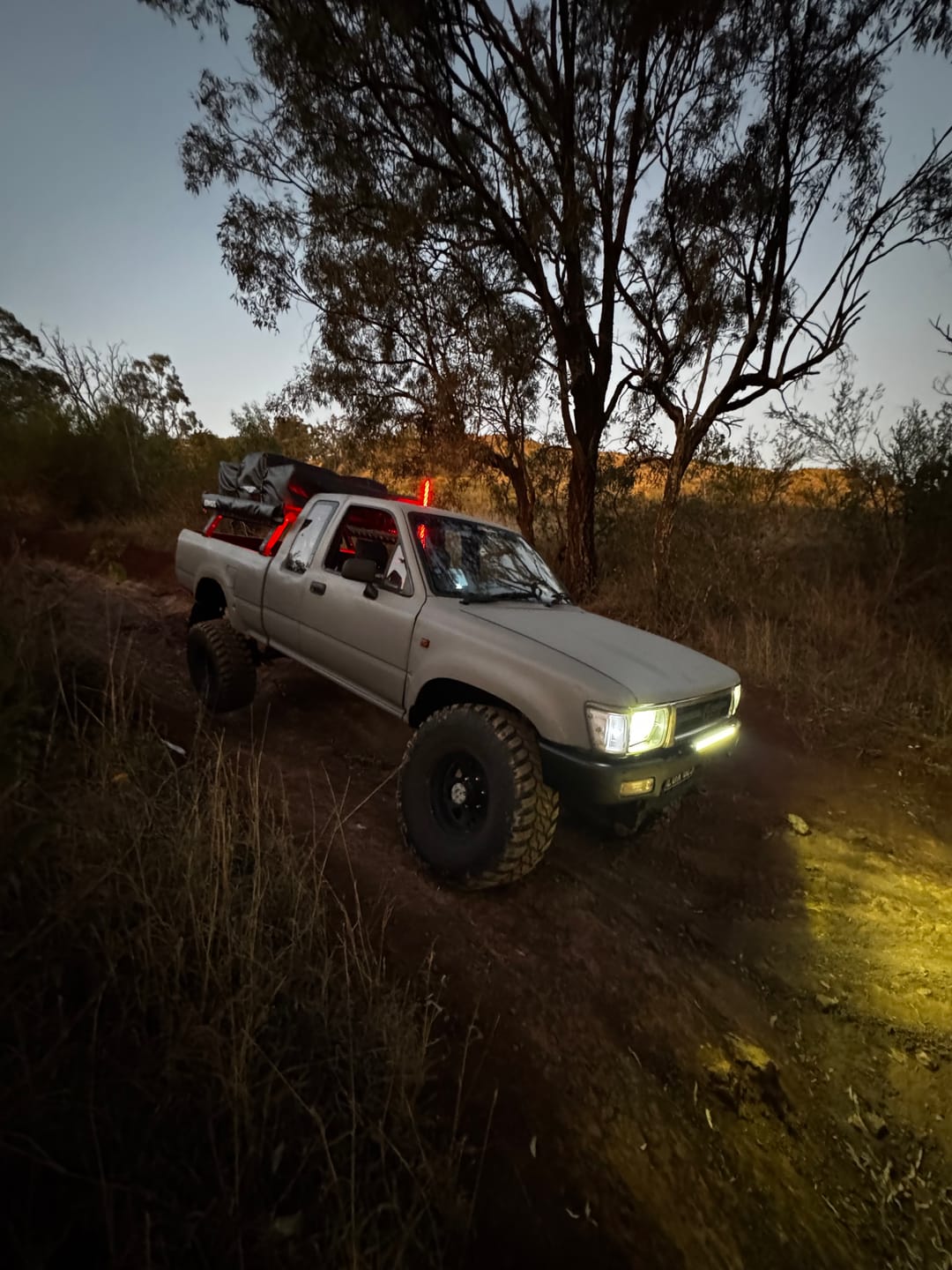Customer photo review of 3ft LED Whip Lights