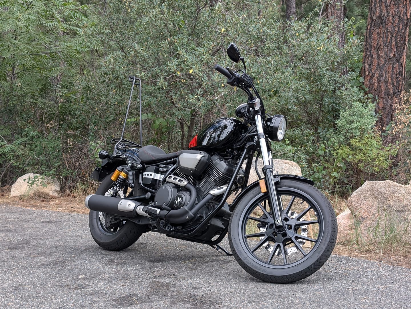 Customer photo review of 30 INCH EL ARRIERO SISSY BAR