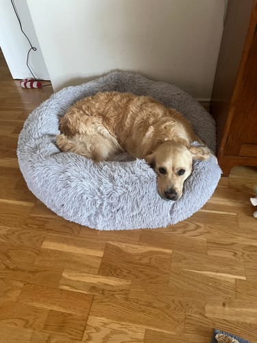 Customer photo review of CalmBed - Motverkar stress & hjälper mot ångest