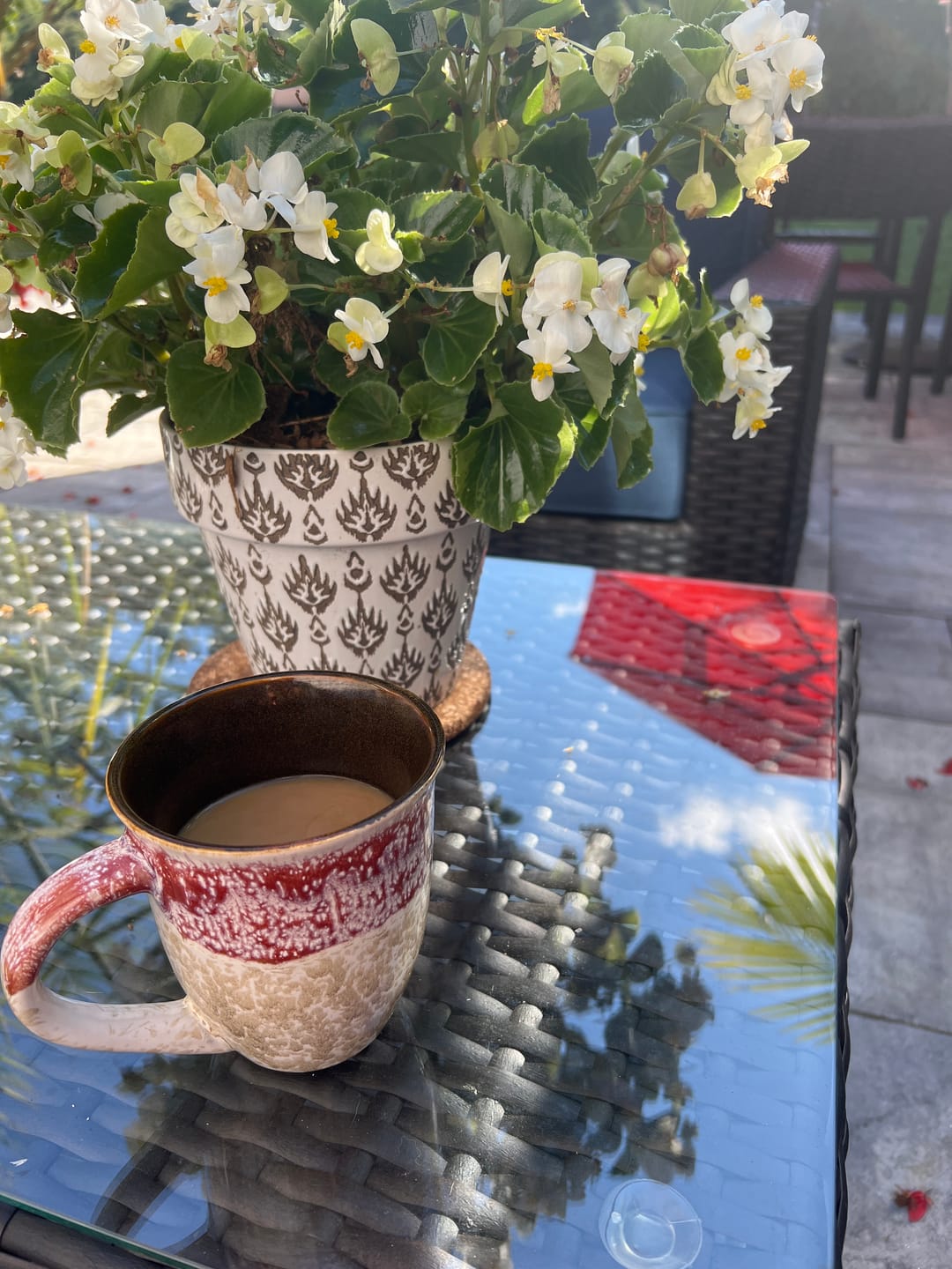 Customer photo review of COSTA RICAN HABITAT SLOTH COFFEE