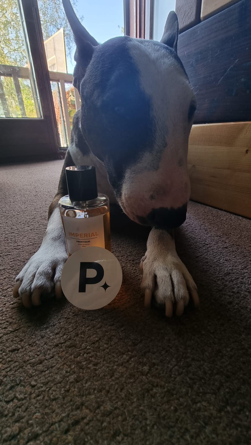 Customer photo review of IMPERIAL