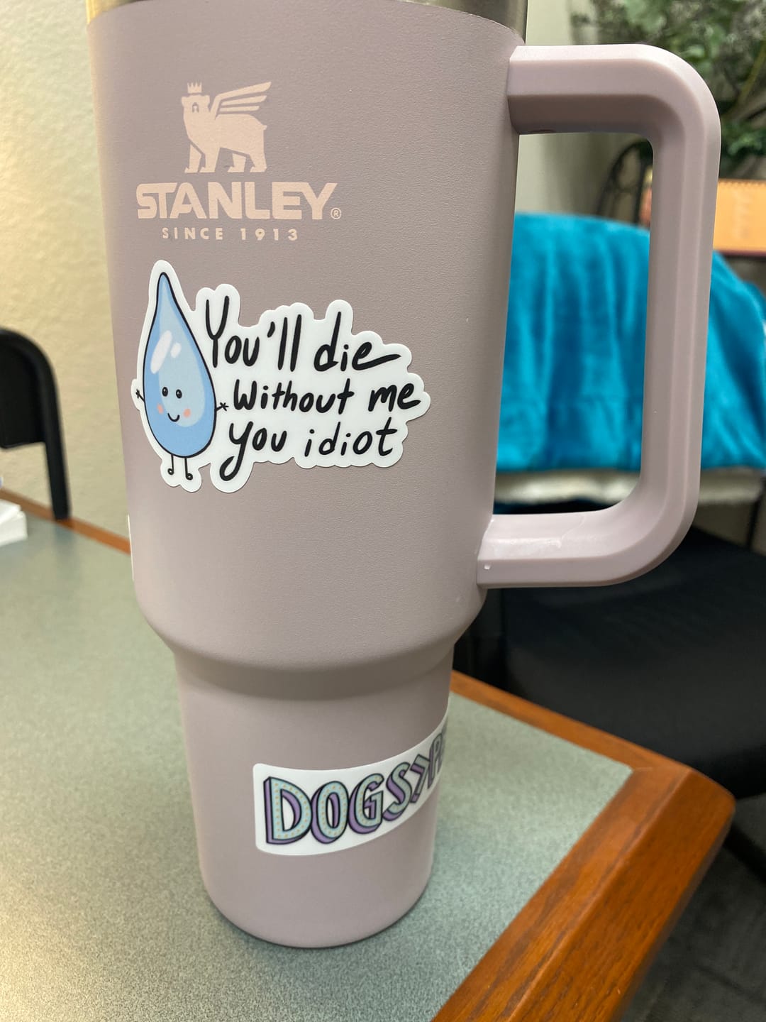 Customer photo review of "You will die without me you idiot" water sticker