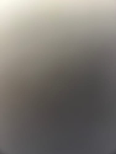 Customer photo review of LooseLeaf X Cookies 2 Pack Wraps