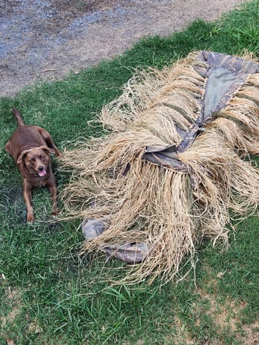 undefined review of Hunting Blind Raffia Grass (Individual) image 1 out of 1