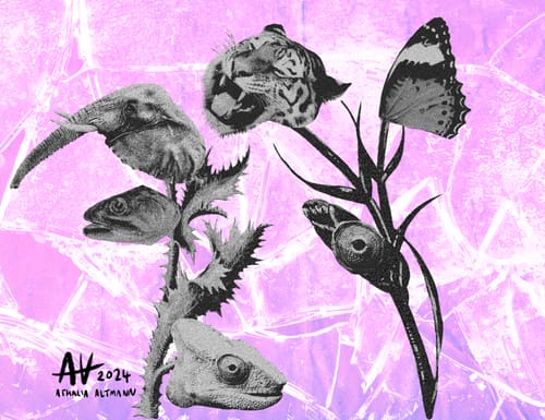 Customer photo review of MONSTERVERSE Collage Set
