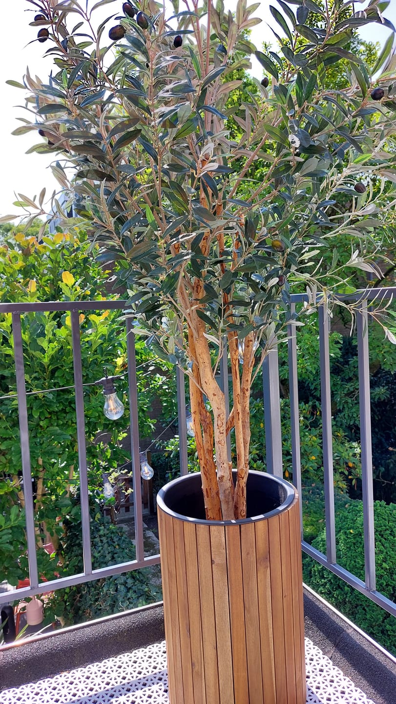 Customer photo review of Pre-Order Kunst Olijfboom 180cm