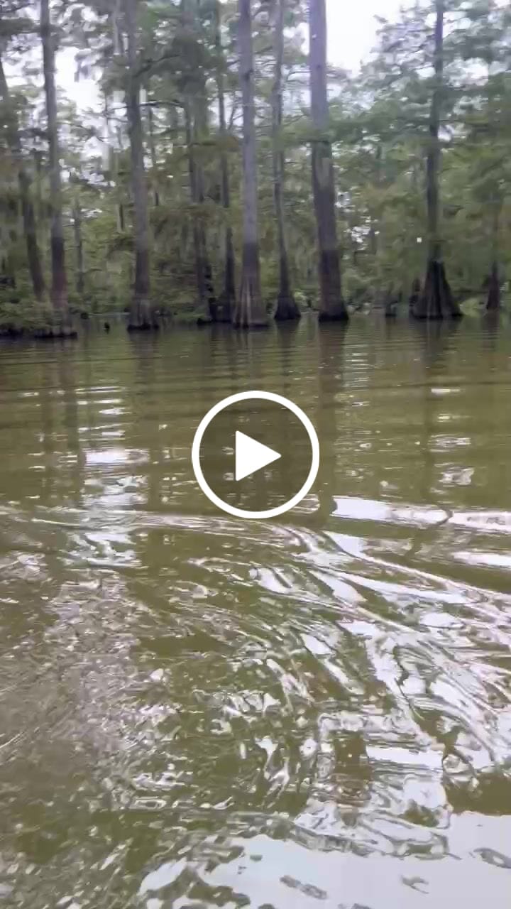 Customer video review of Men's Veil Camo Breathable Wader - Boot Foot