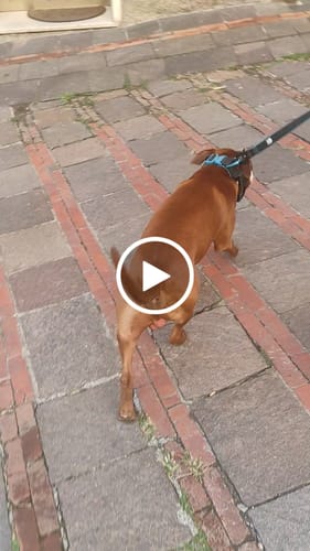 Customer video review of Personalizzazione prodotto