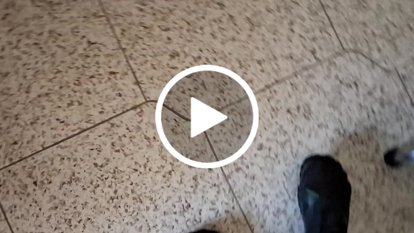 Customer video review of Vitality III - Scarpe Barefoot