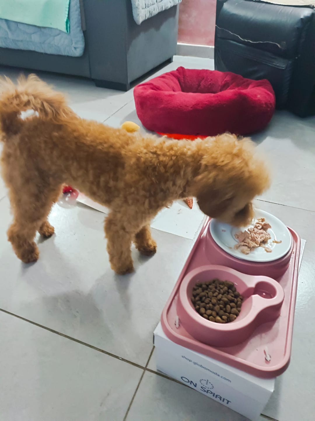 Customer photo review of Terra Canis Dog Puppy 400g