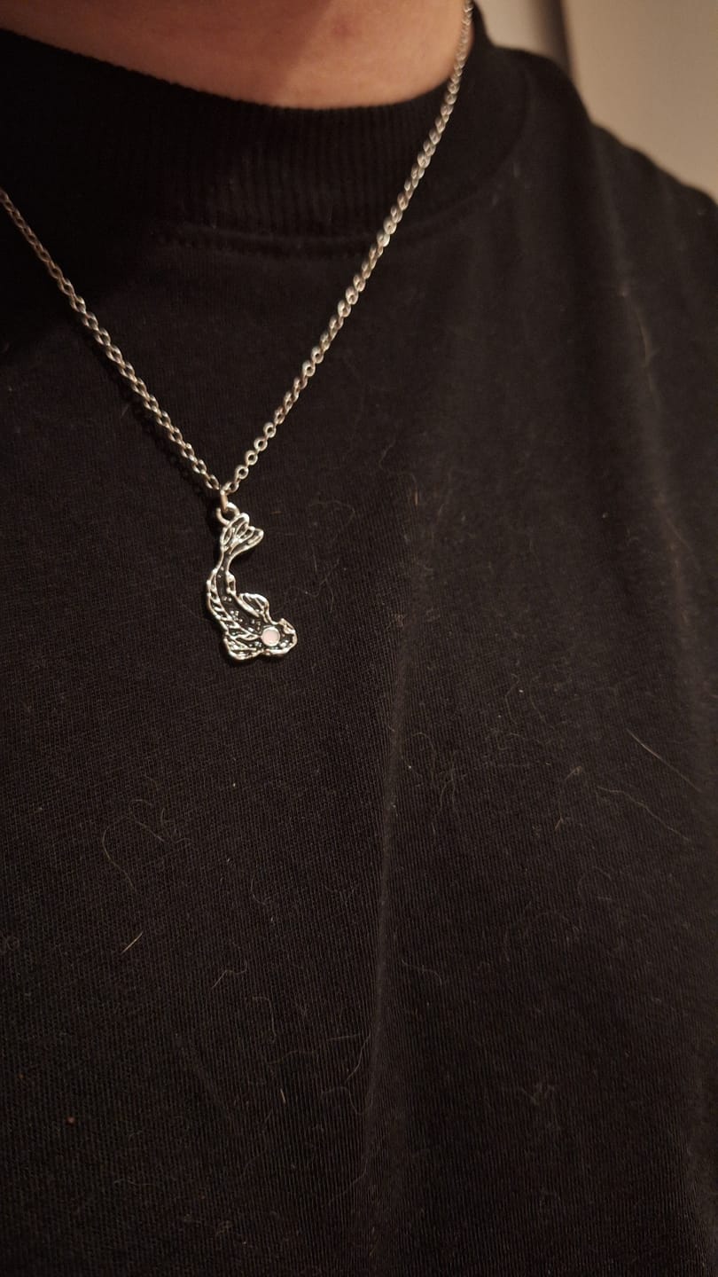 Customer photo review of BEST FRIENDS NECKLACE
