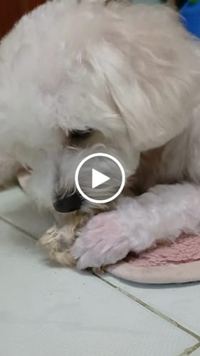 Customer video review of Cookable Single Proteins