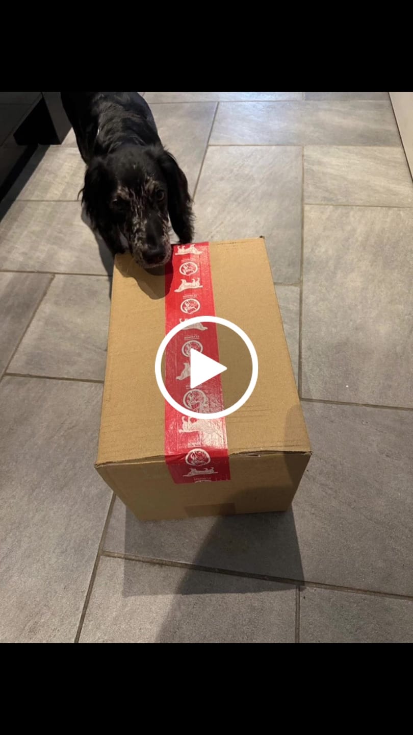 Customer video review of MultiProtein Dry Puppy Food