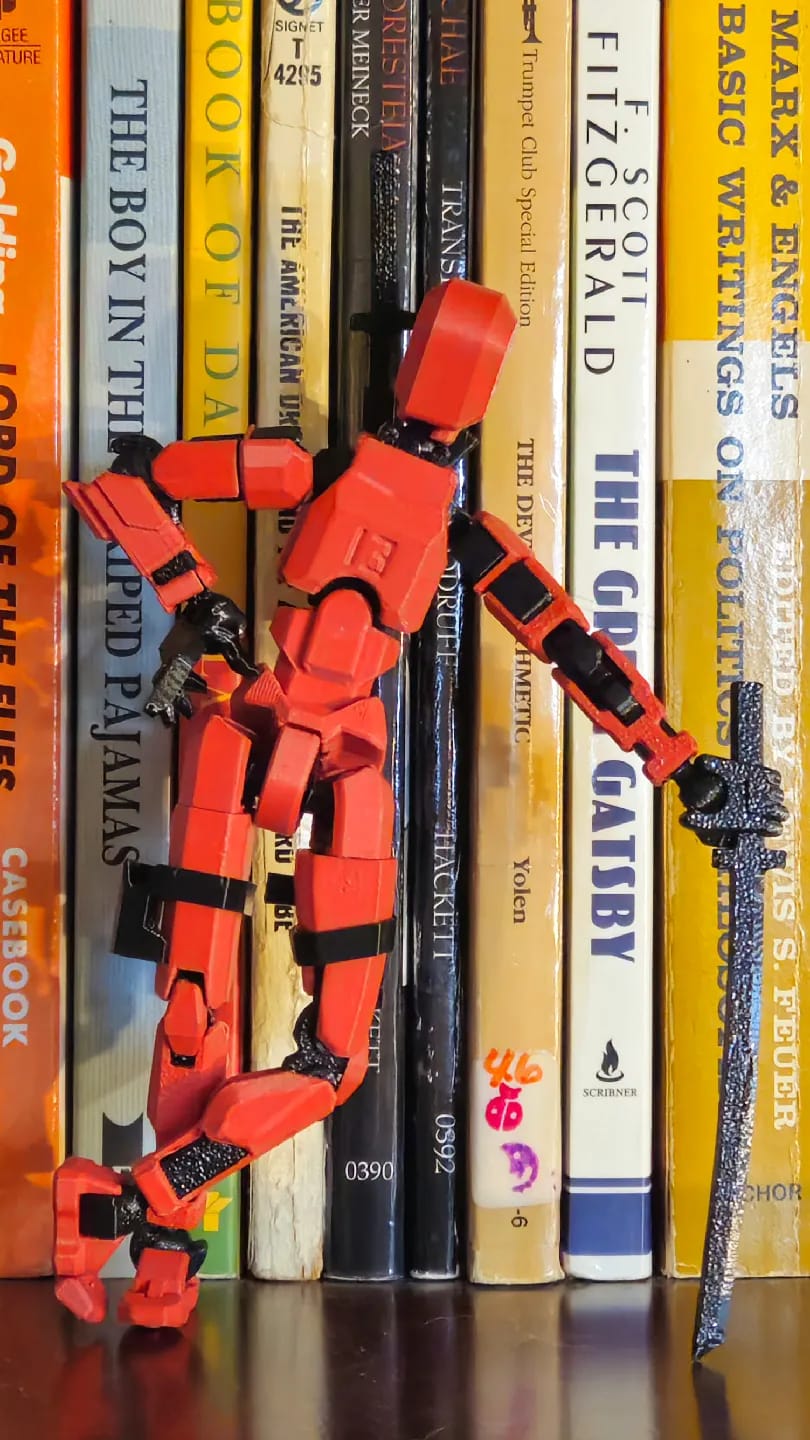 Customer photo review of Dummy 13