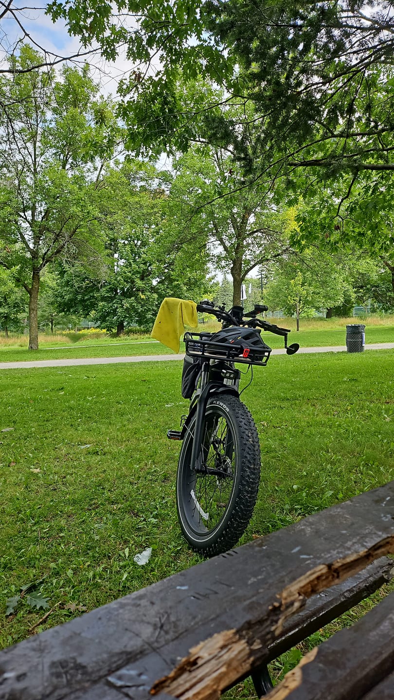 Customer photo review of Front  Basket