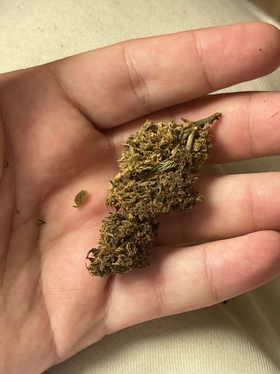 Customer photo review of 🍉 Melon Kush - POWER LVL: 4/5
