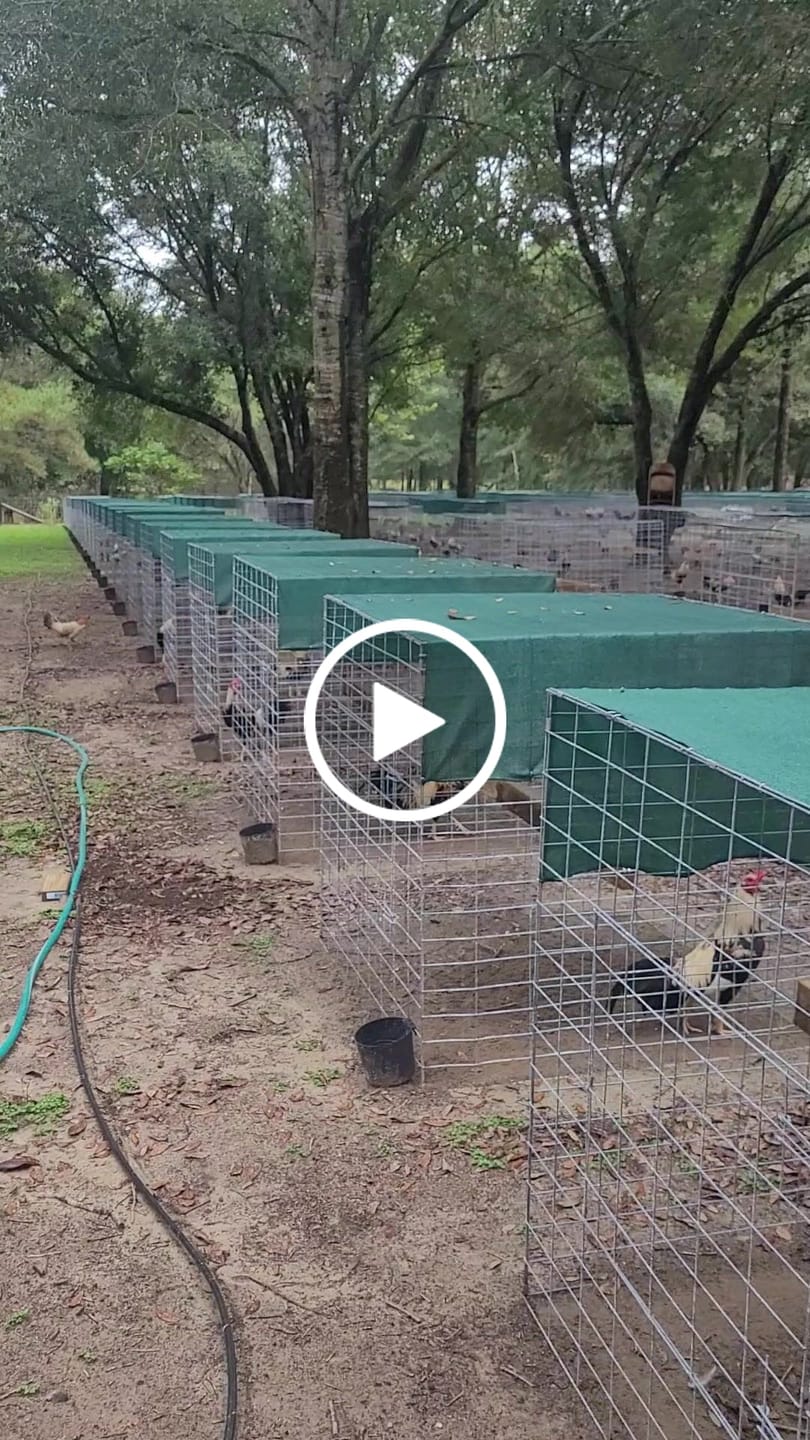 Customer video review of Green Mesh Roll - 90% Shade
