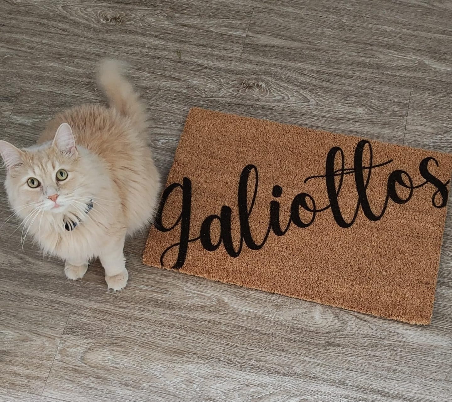 Customer photo review of Personalized Handwriting Family Surname Doormat