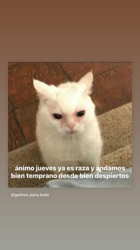 Customer photo review of Niacinamide 10% + Zinc 1% Oil Control Serum