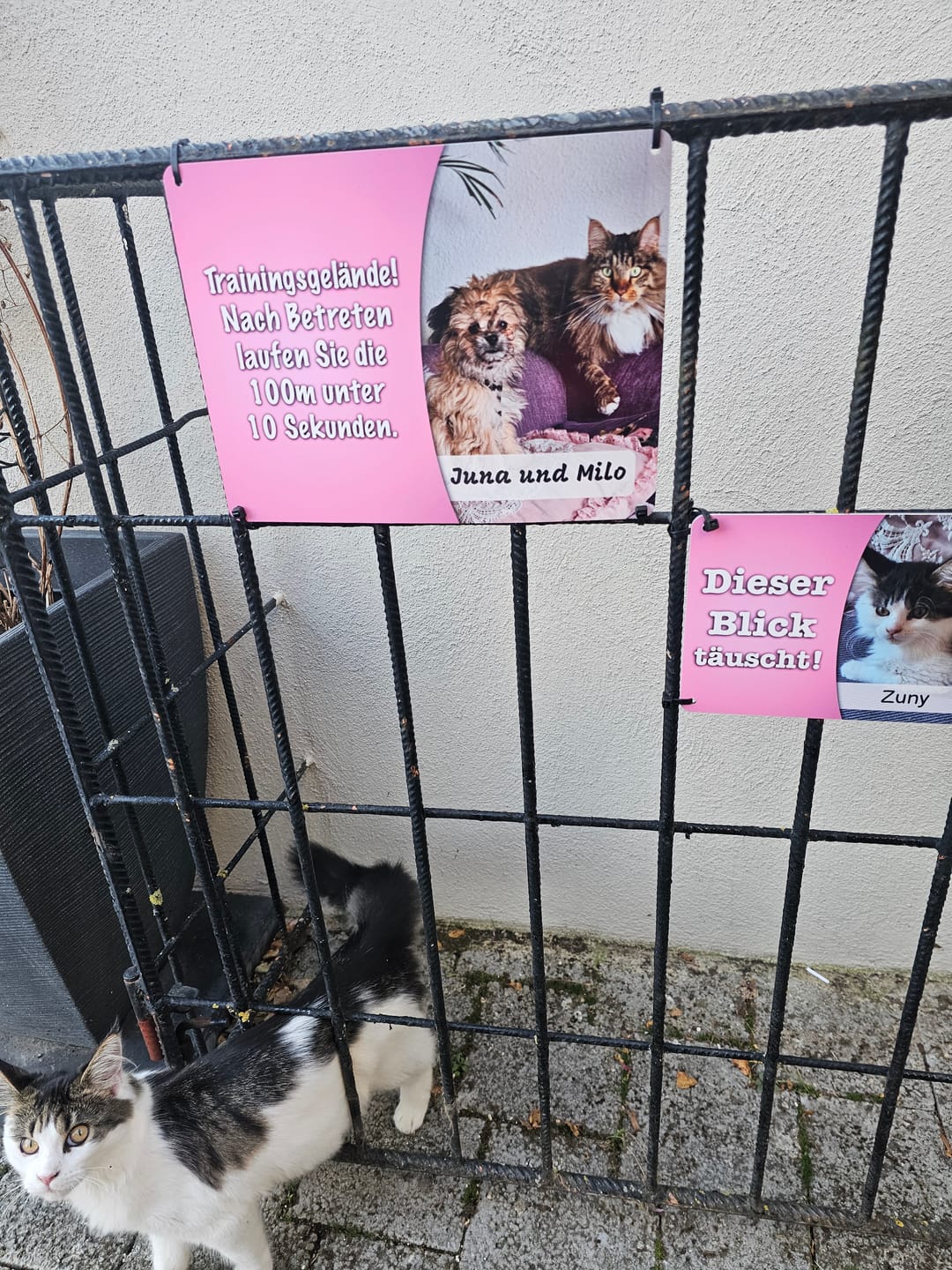 Customer photo review of Hunde-Türschild mit Foto & Wunschtext (UV- UND WETTERFEST) - Angebot beim Kauf eines 2. Schildes