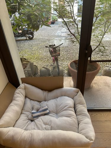 Customer photo review of Divanetto Cotone Righe Grigio