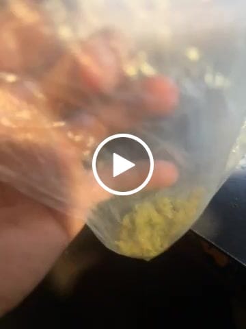 Customer video review of Exotic Micros