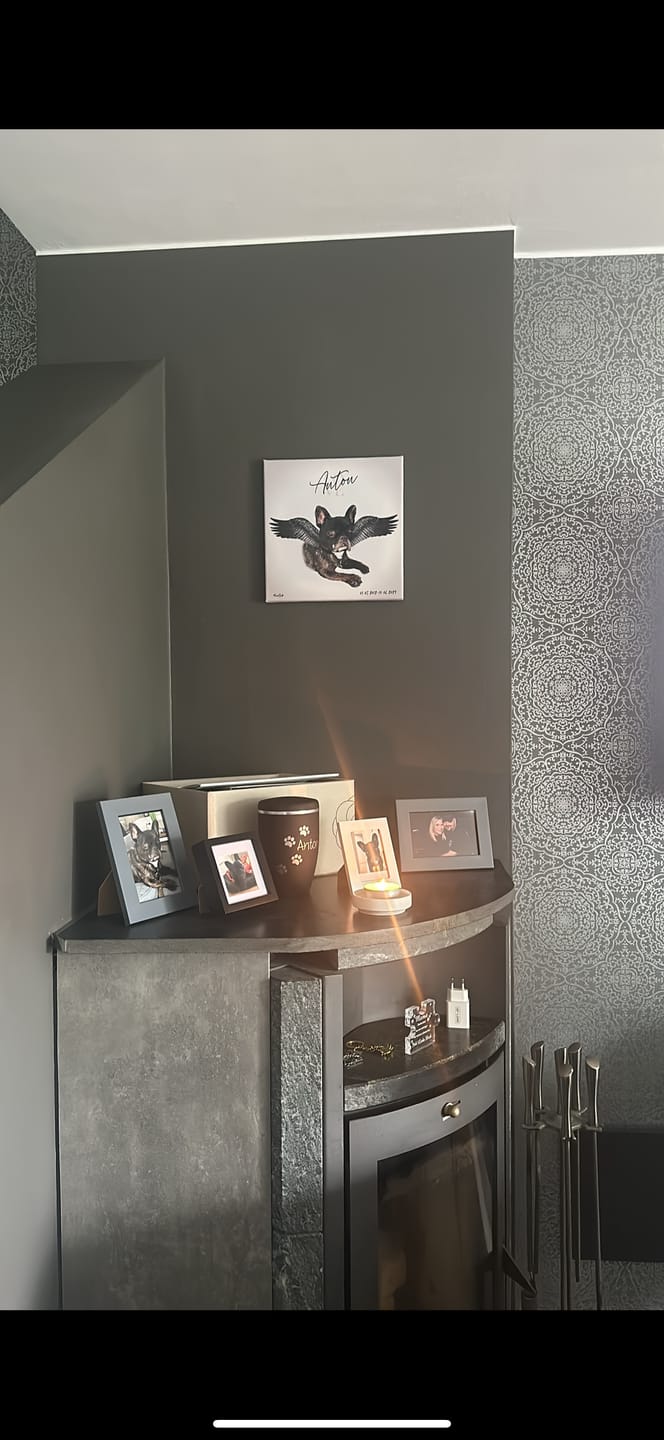 Customer photo review of Personalisiertes Portrait - Silberner Engel Stil