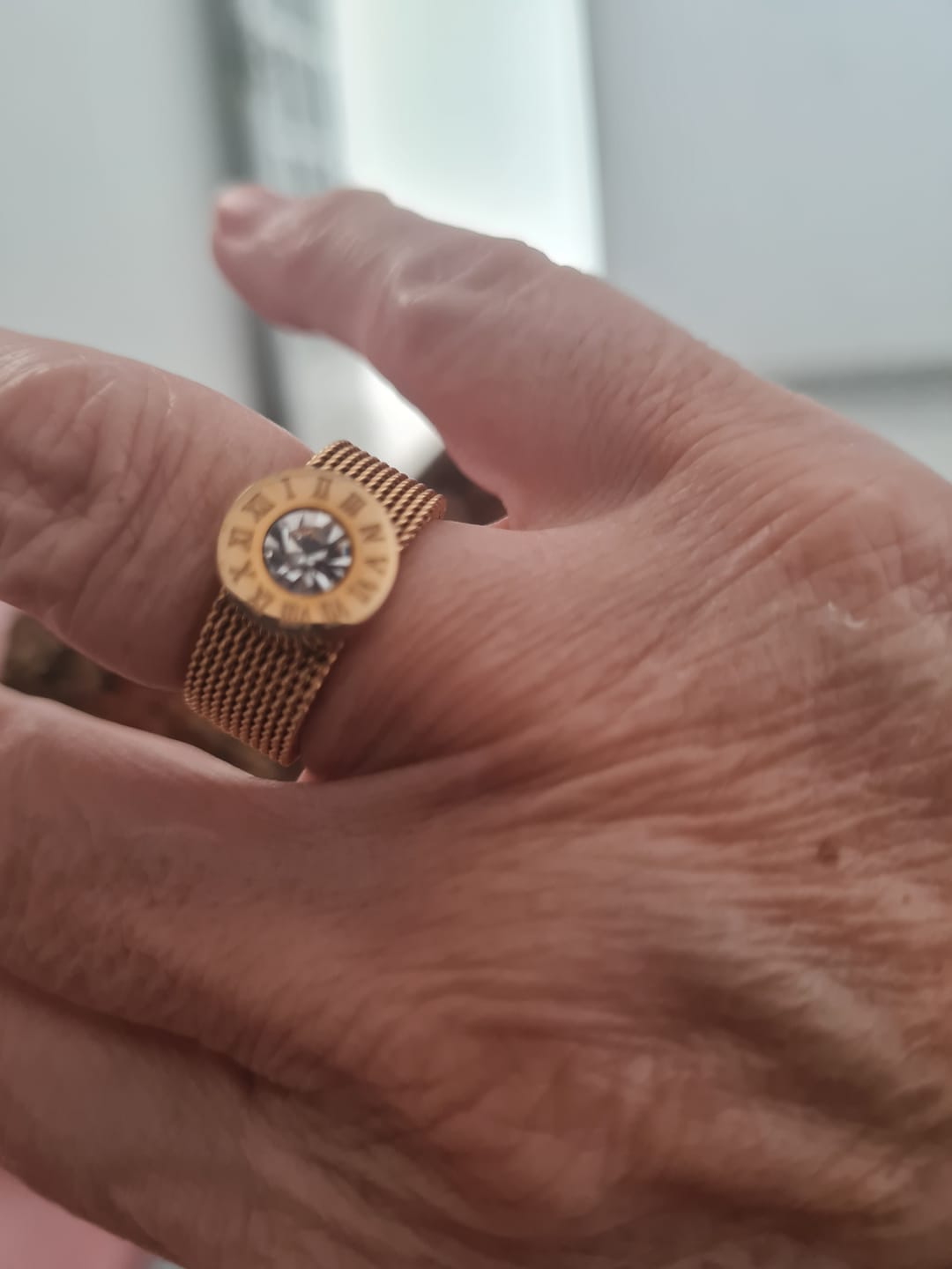 Customer photo review of Anel Roman Malha - Prata