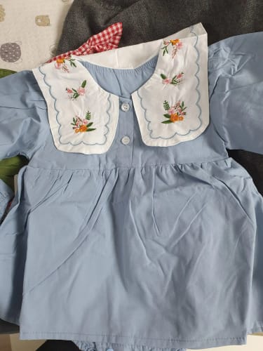 Customer photo review of Flower Embroidery Collar Dress