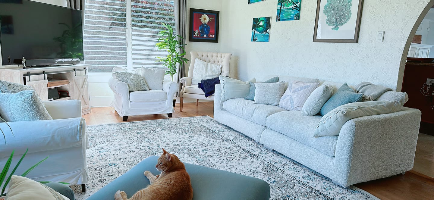 Customer photo review of Feathers Sofa