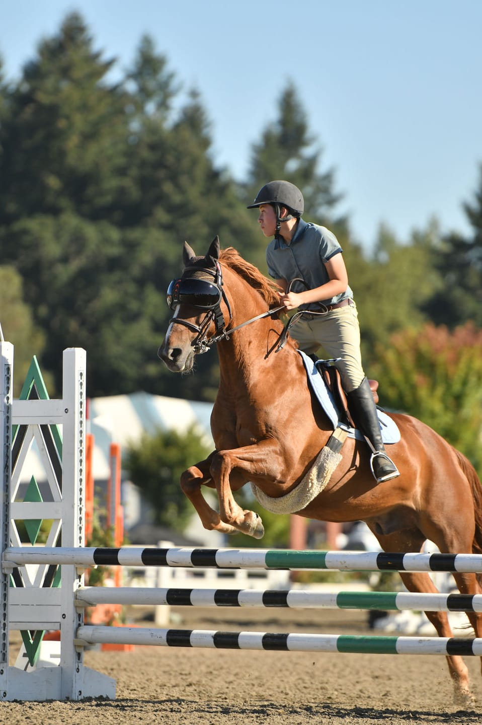 Customer photo review of eVysor - UV Horse Riding Goggles!