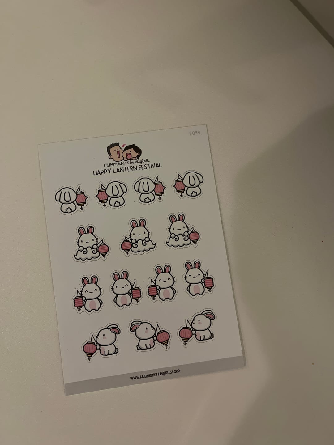 Customer photo review of Happy Lanterns Festival Planner Stickers