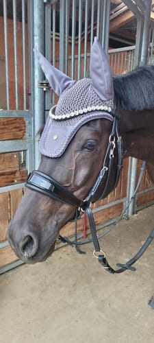 Customer photo review of gebisslose Zäumung in Lack Luxury Harmony Bitless Bridle